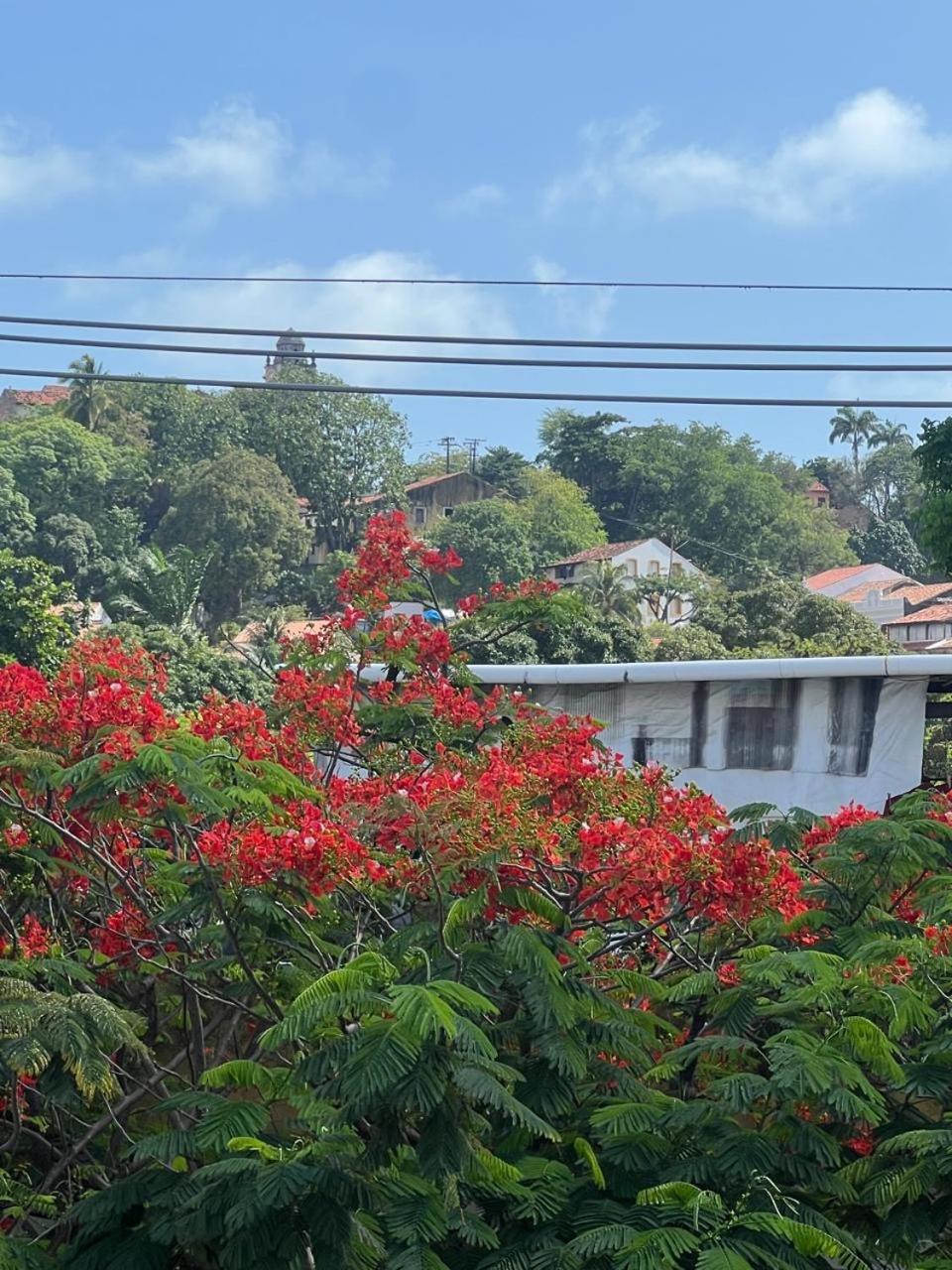 Pousada Do Leo Olinda Buitenkant foto